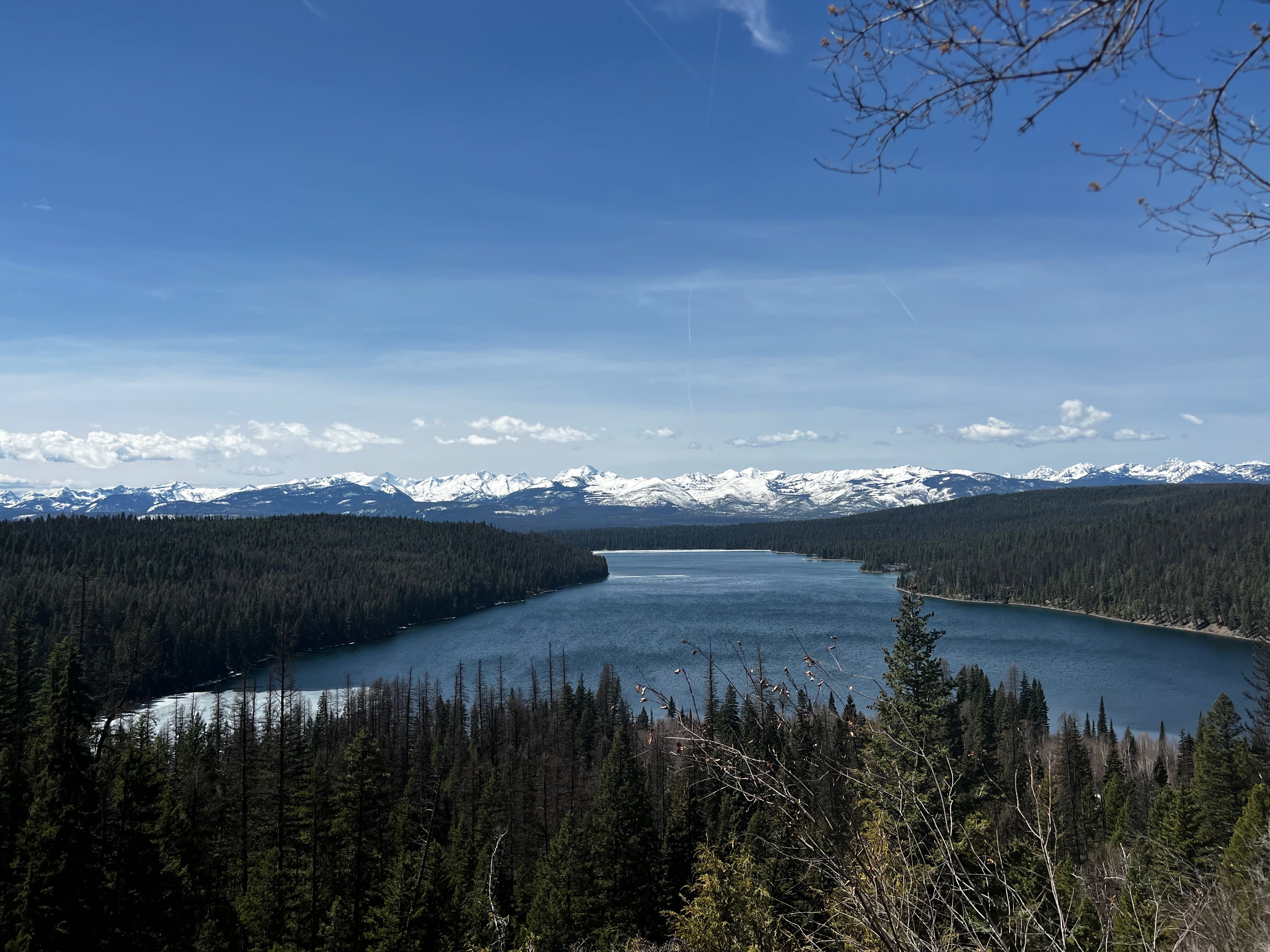 Mostly blue sky over snow-capped mountains on the far horizon, with a lake surrounded by evergreen forest in the foreground.